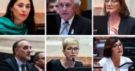 Cómo votaron los senadores de Neuquén, Río Negro y la Patagonia el histórico rechazo al veto de la Ley de Discapacidad