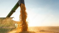 El campo aportaría U$S5300 millones por retenciones con una producción de 146,4 millones de toneladas en 2026
