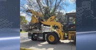 Mason City sees progress in ash tree removal efforts