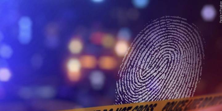 LIVE: Coroner to announce identity of human remains found years ago in Upstate