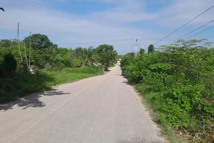 ¿En qué consiste la Ley de Expropiación que aprobaron en Campeche y por qué desata polémica?