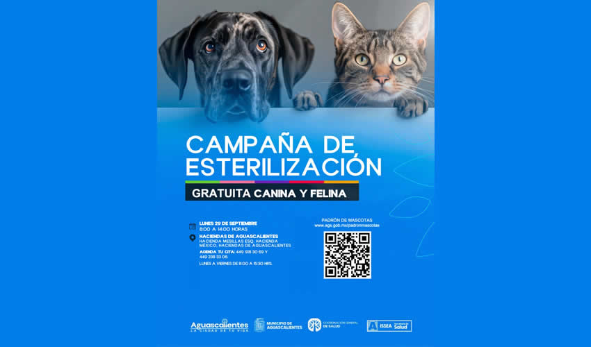 Nueva Jornada de Esterilizaciones de Mascotas en Coordinación con el ISSEA