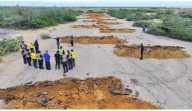 Desmantelan pista clandestina en El Cayude: Golpe al narcotráfico en Carirubana.