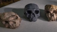 How An Ancient Crushed Skull In China Could Change A Lot About Human Family Tree