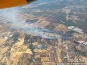 Activada la fase 1 de emergencias y permanece cortada la A-484 por el incendio declarado en Bonares