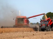 Resultado sorpresa en los municipios del campo en la elección bonaerense: el peronismo se impone en la Cuarta Sección después de 20 años