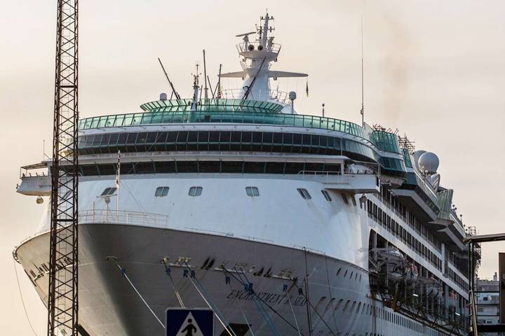 Royal Caribbean Cruise Rescues a Dozen People Stranded on Makeshift Raft