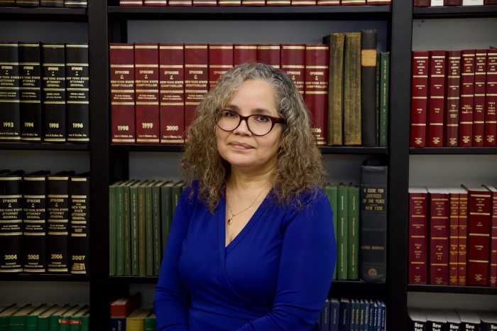 New York courts grapple with shortage of interpreters, the ‘ears and voice’ of non