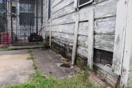 Houston’s recovery funds for Beryl and the derecho unlikely to meet need
