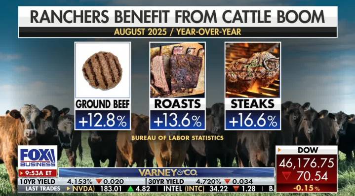Fox Business Highlights Skyrocketing Beef Prices