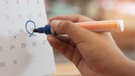 ¿Cuáles son los puentes y días festivos del ciclo escolar 2025