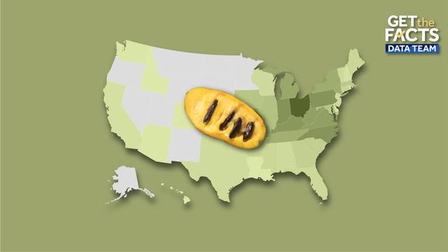 Pawpaw: The custard-like fruit with a unique taste