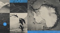 There are hundreds of canyons under the Antarctic ice