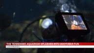 The Tennessee Aquarium Splashes into ODDtober Fun