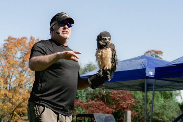The Magic of Hawk Migration & Audubon’s Hawk Watch Festival