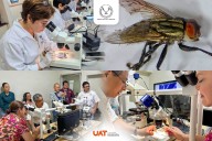 Colabora la UAT en medidas preventivas contra el gusano barrenador