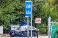 Ambientalistas avisan que persiste su batalla contra Alligator Alcatraz pese a nueva orden