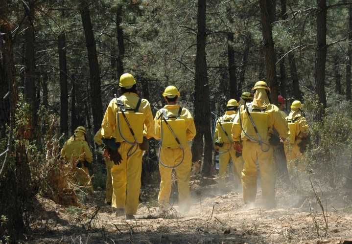 Marcha de 3.000 efectivos forestales de toda España clama en Valladolid ante «precariedad»