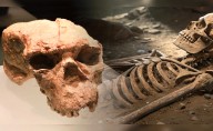 China desafía la historia de la evolución humana con el hallazgo de un cráneo de un millón de años de antigüedad
