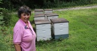 Makanda to host first Southern Illinois Honey Festival