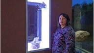 Conmemorarán el Día de la Mujer Indígena en el Museo Antonio Serrano