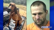 K9 Beau helps capture fugitive in Northwest Florida swamp