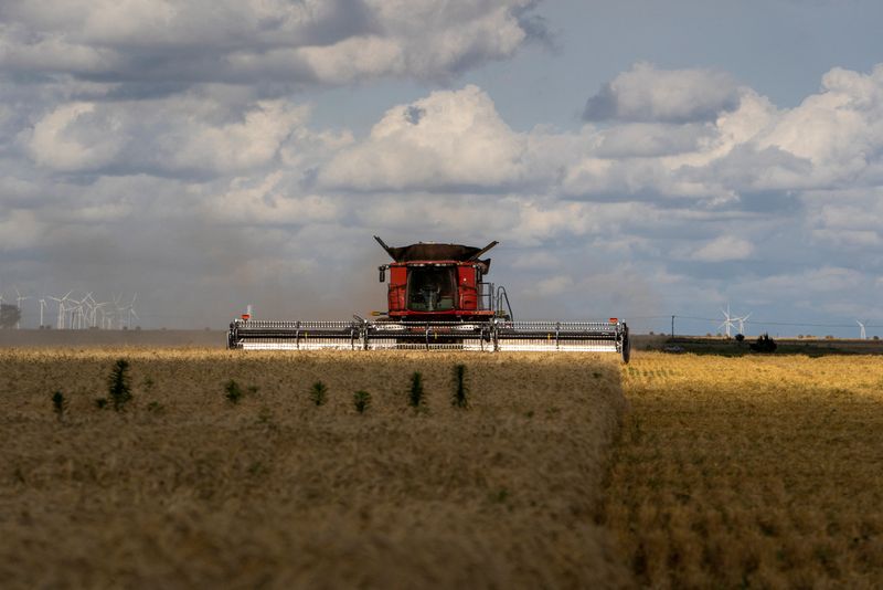 Trump tariffs could fund bailout for US farmers, says agriculture secretary, FT reports