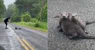 Couple Sees Something Weird on the Road, Then It Hits Them