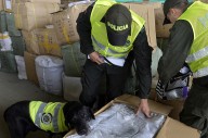 Operativo internacional “Lionfish-Mayag III” desmanteló red que trafica drogas sintéticas