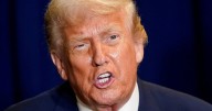 Tech Giant Kisses Trump's Ring With Millions for Tacky Ballroom