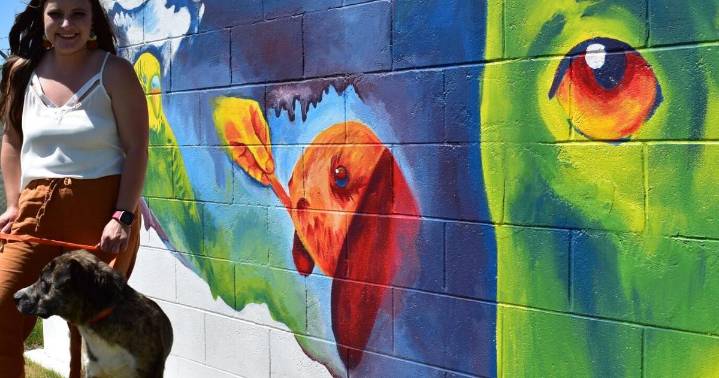 Meth burning mishap at Billings animal shelter attracts DEQ attention