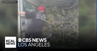 Huntington Beach community teams up to help clear brush and debris from neighbor's home