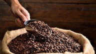 Café Bienestar ha comprado 913 toneladas a pequeños productores: Albores