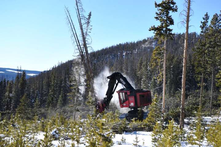 Mandate in Big Beautiful Bill will double timber Forest Service sells (Opinion)