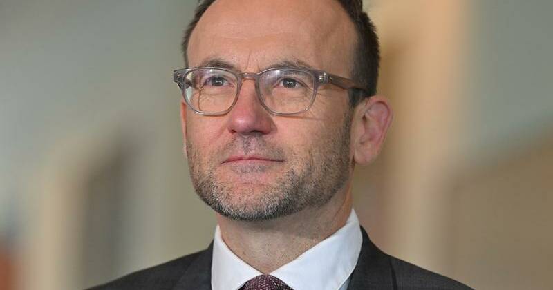 Former Greens leader reveals new role after politics