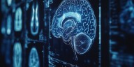 Descubren un “interruptor” cerebral que regula el apetito: cómo funciona