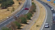 Retiran las vacas y reabren la calzada cortada en el túnel de Media Fanega, en la A