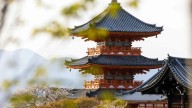 Festival japonés gratuito en Zaragoza: horario y actividades