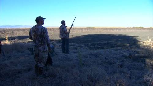Dove hunting season begins in Central California