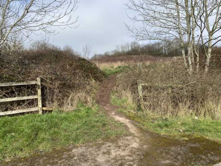 Kenilworth planning roundup: Rugby club, parking problems and landfill site | Local News 