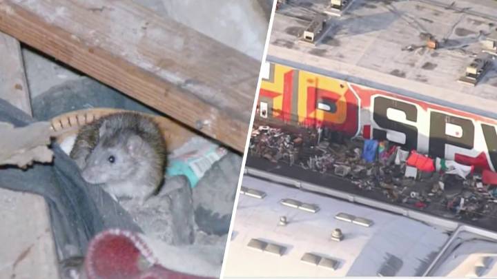 Rotting produce with rats piles up on downtown LA street