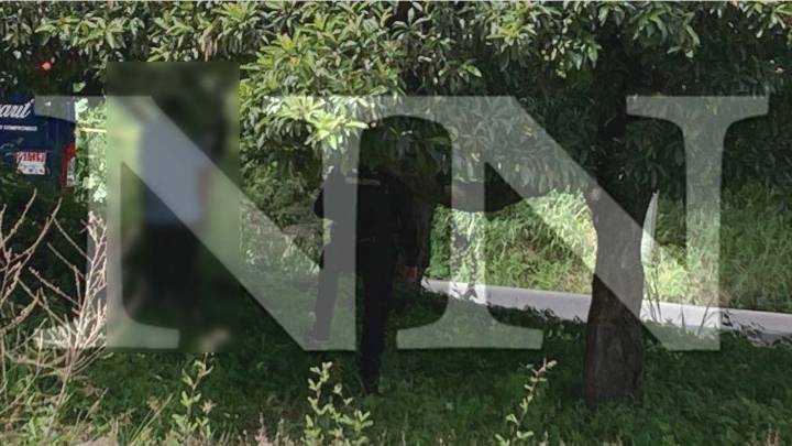 Reportan el hallazgo de un hombre sin vida colgado de un nanchi
