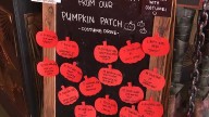 Louisville coffee shop hosting 'adopt a pumpkin' costume drive for children