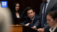 Ex-Labor leader Winter under fire for unmoderated Facebook comments targeting racing minister