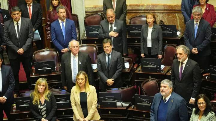 El Senado ya debate sobre el veto a la ley de Discapacidad y la regulación de los DNU