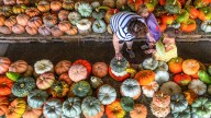 Keeping agritourism safe this fall