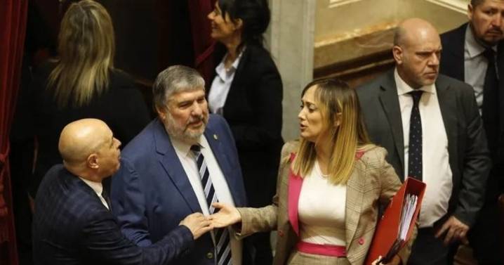 Discapacidad: el Senado rechazó el veto del presidente a la ley de emergencia