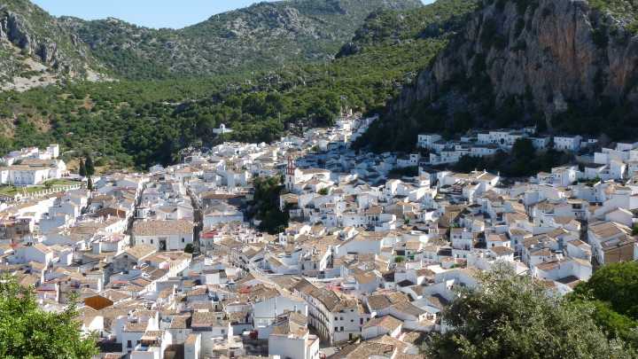 Muere un hombre corneado por un toro en las fiestas de Ubrique (Cádiz)