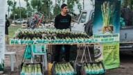 Esparragueros del Médano de Oro esperan una cosecha favorable pese al retraso por el clima