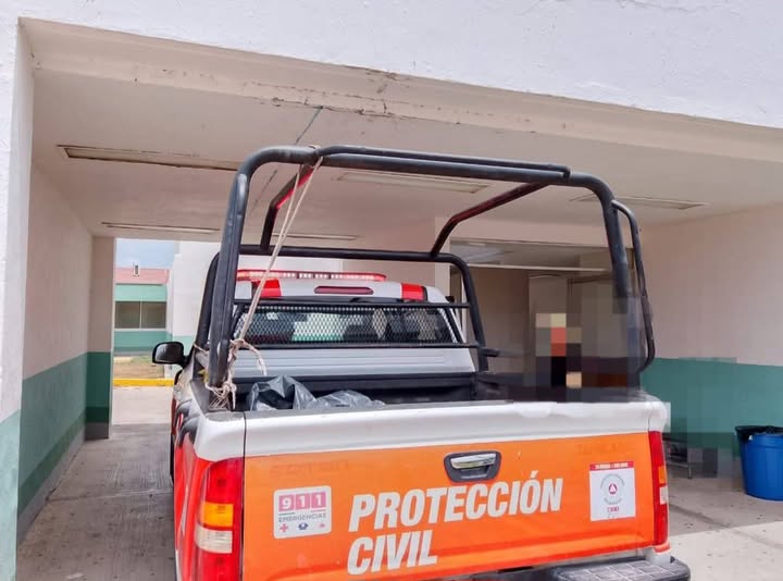 EN FRANCISCO VILLA AVISPAS ATACARON A UN NIÑO